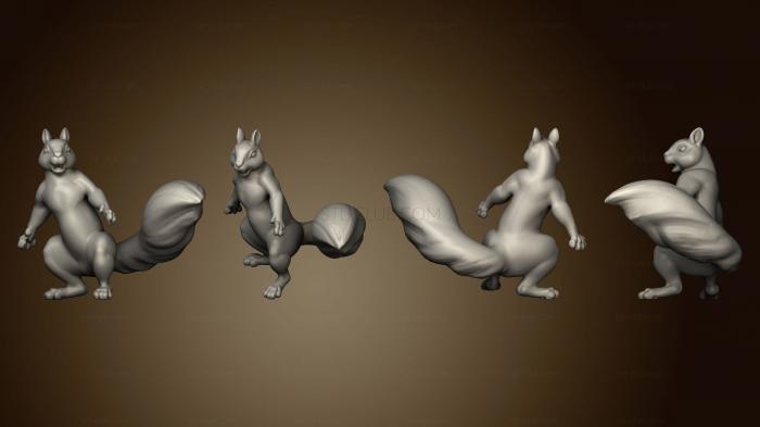 3D model Squirrel 10 (STL)