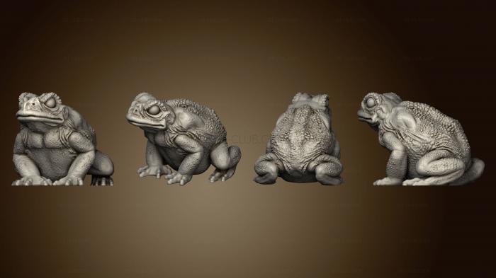 3D model Toads (STL)