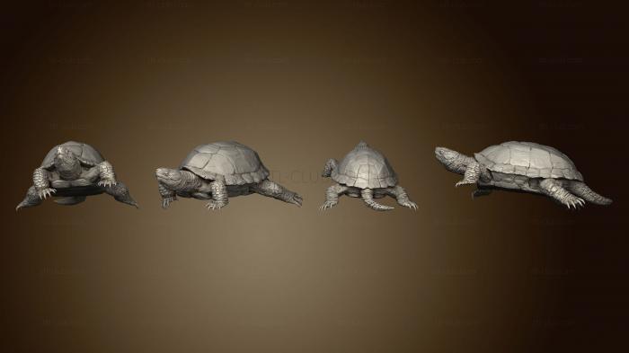 3D модель Черепаха v 3 (STL)