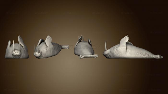 3D model Walrus Resting Large (STL)