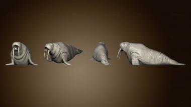 3D model Walrus Roar Large (STL)