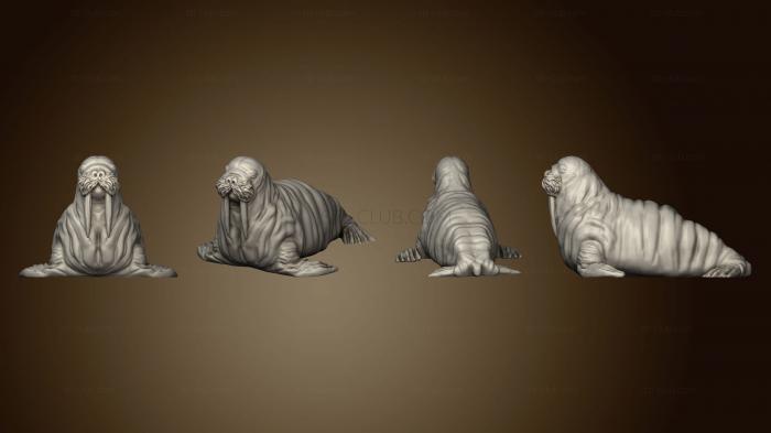 Walrus Unbased