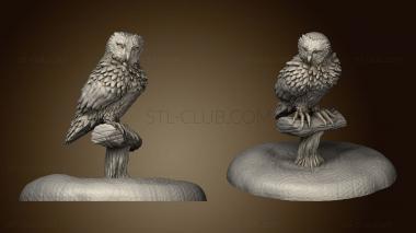 3D model Owl (STL)