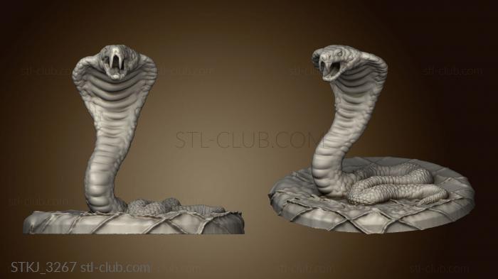 3D model STKJ_3267 (STL)