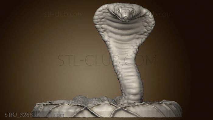 3D model STKJ_3268 (STL)