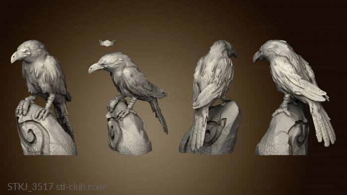 3D model Birds Crow (STL)