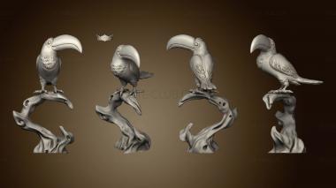 3D model Birds Crow (STL)