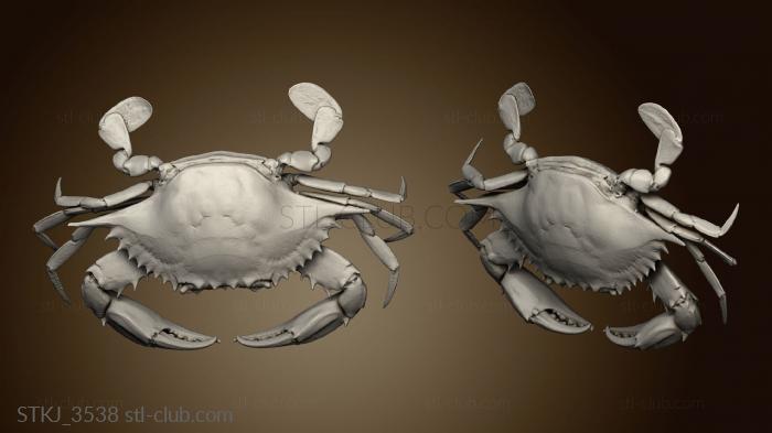 blue crab master geometry