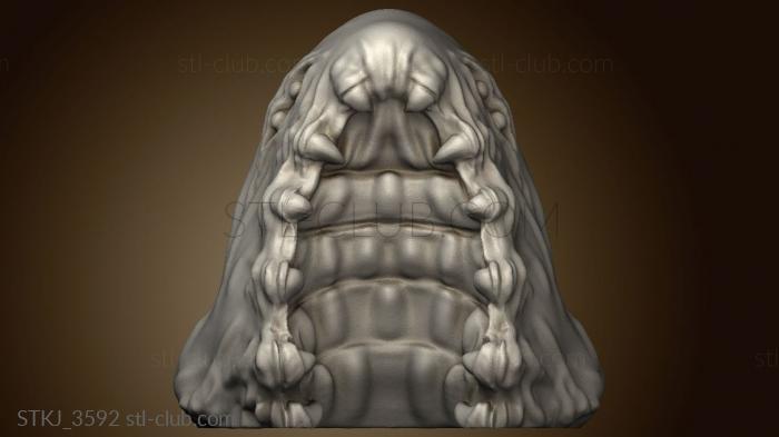 3D model Leeches (STL)