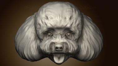 3D model camens poodle (STL)