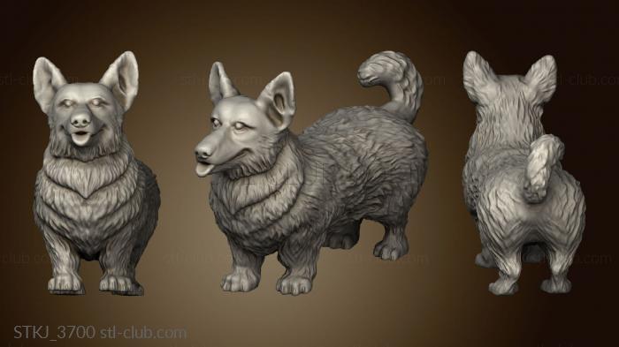 3D model corgi dog (STL)