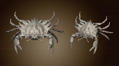 3D model giant crab angry huge (STL)