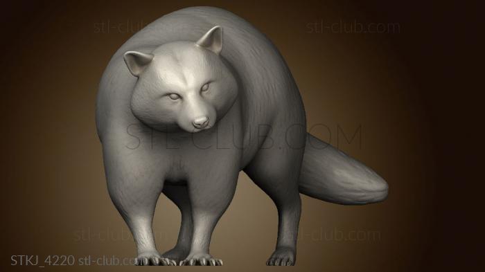 3D model Forest Racoon (STL)