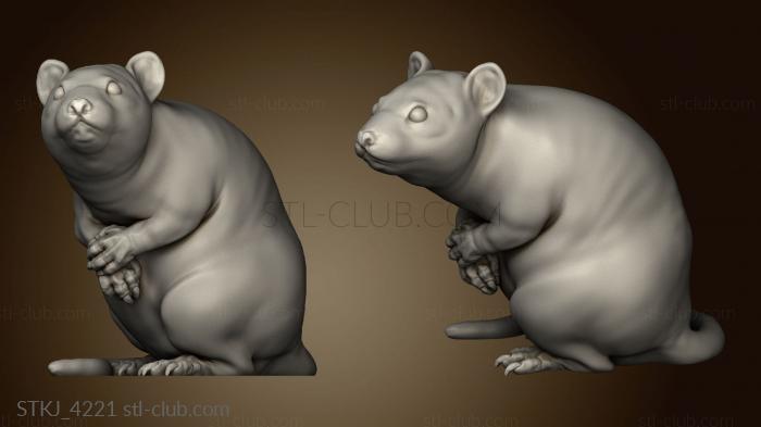 3D model Forest Rat (STL)