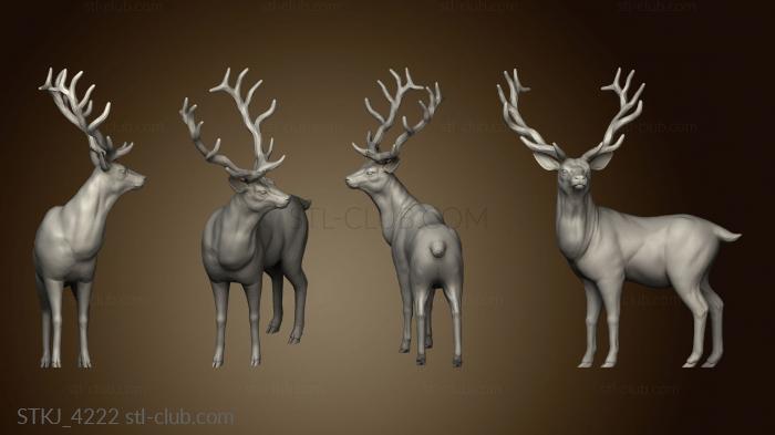 3D model Forest Stag (STL)