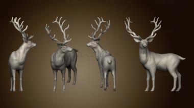 3D model Forest Stag (STL)