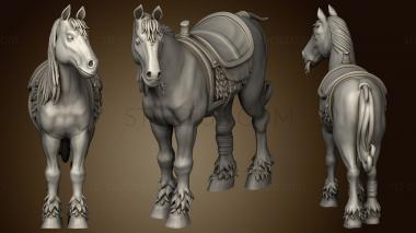 3D model Horse Trainer (STL)