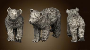 3D model Beasts Baby Bear (STL)