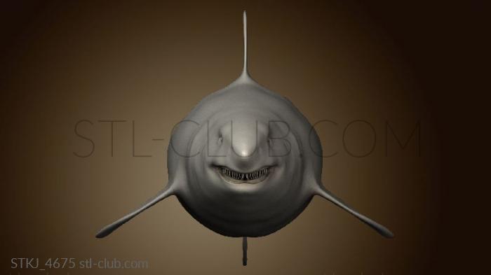 3D model Megalodon (STL)