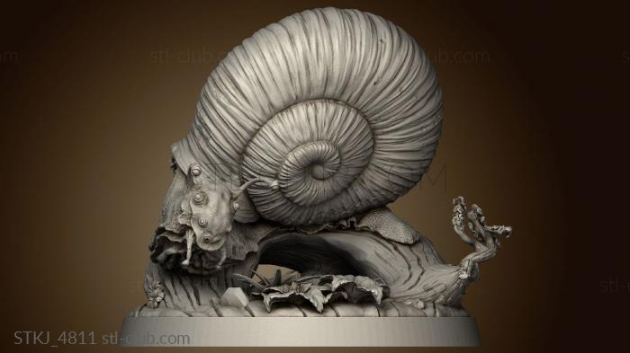 3D model Small Snail (STL)