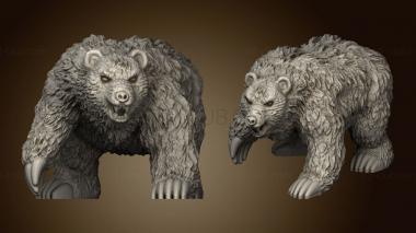 3D model Omnioji Bear (STL)