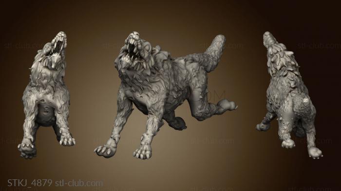 Orc King Wolves Feral Wolf