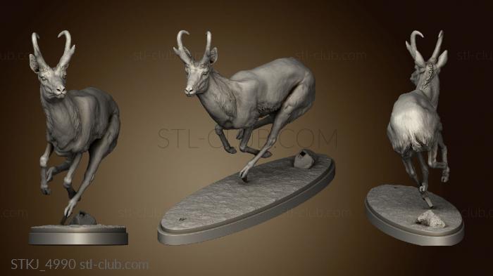 3D model pronghorn chase (STL)