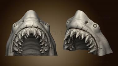 3D model shark (STL)