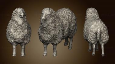 3D model Sheep (STL)