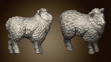 3D model sheep (STL)