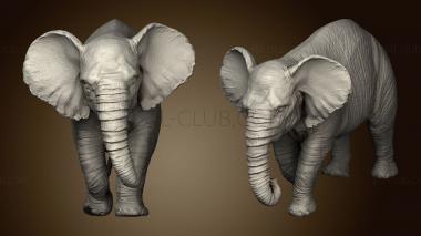 3D model Baby Elephant (STL)