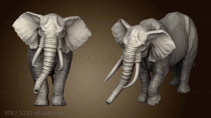 3D model Elephant (STL)