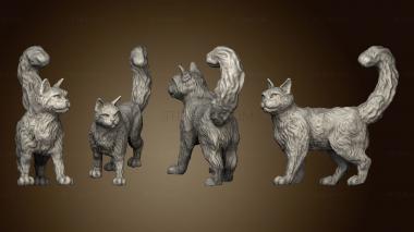 3D model Cats cat walking (STL)