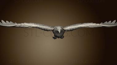 3D model Giant Eagles eagle flying (STL)