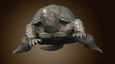 3D model Mousin Turtle (STL)