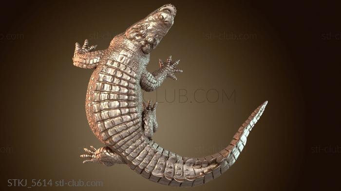 American Alligator Attack