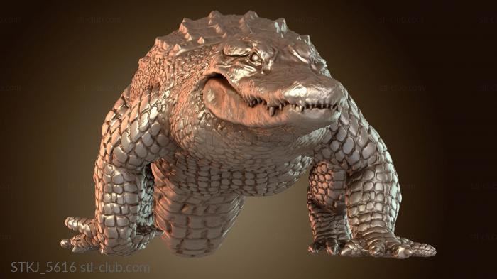 American Alligator Walk