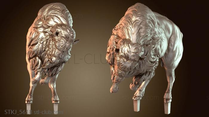 Атака американского бизона