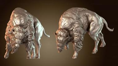3D model American Bison Fight (STL)