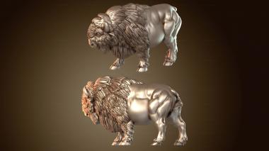 3D model American Buffalo (STL)