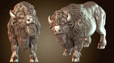 3D model American Buffalo Duplicate (STL)