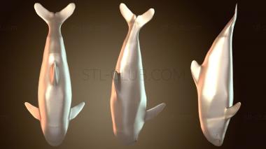 3D model Animals Baby Orca Runtime Libraries Character Calf (STL)