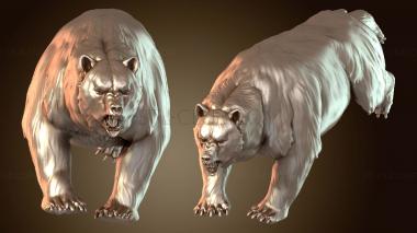 3D model Banner Point Wild (STL)