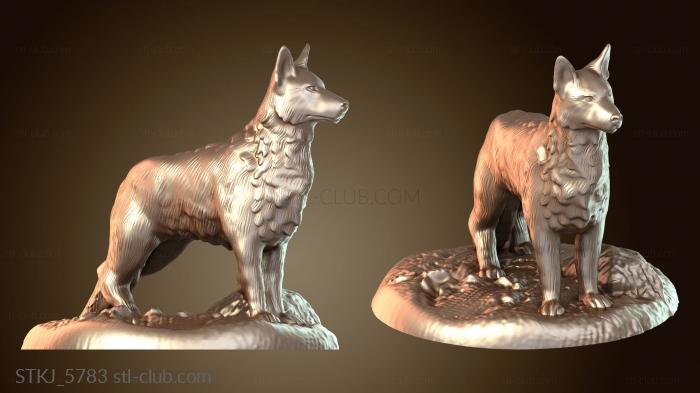 Экшн «Зверь и собака»