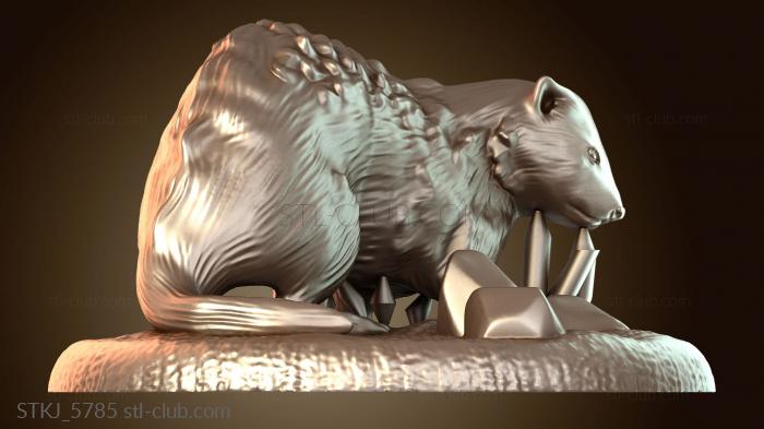 Статуэтки животных Зверь Дракончик Повседневный