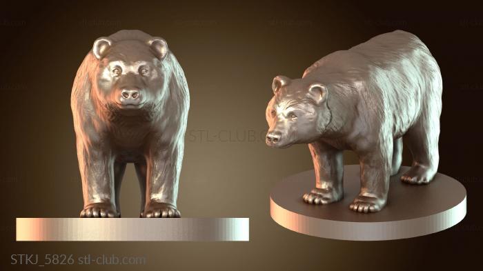 Черный медведь