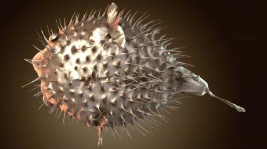 3D мадэль Рыба-иглу (STL)