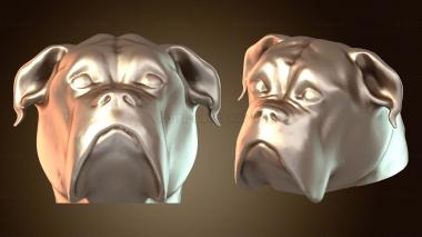 3D мадэль Боксер Тете (STL)