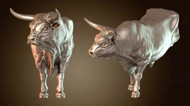 3D model Bull Torso Muscular (STL)