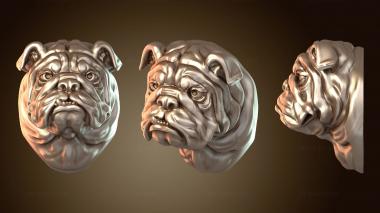 3D мадэль Декор для стен «Бульдог» (STL)